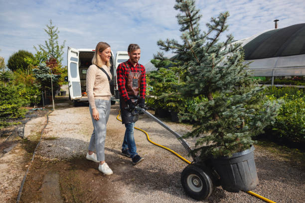How Our Tree Care Process Works  in  Spring Park, MN